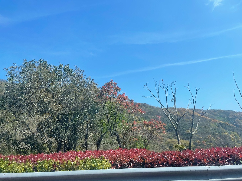 上海越邦機電團隊旅游